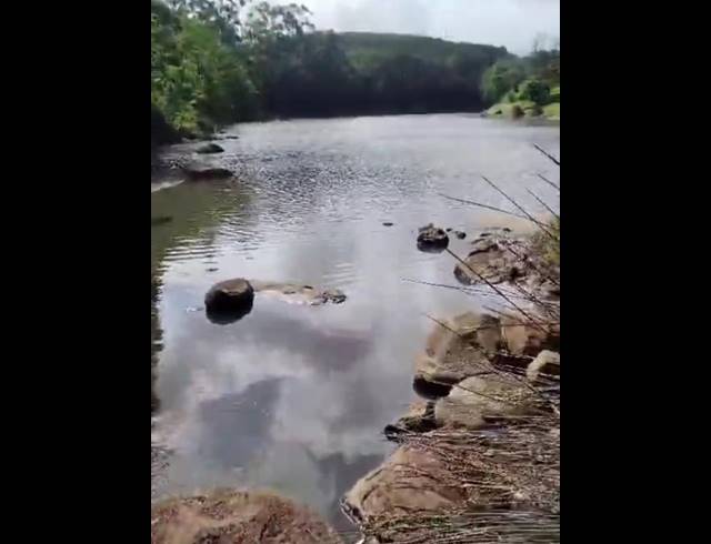 LAND FOR SALE IN PALM BEACH